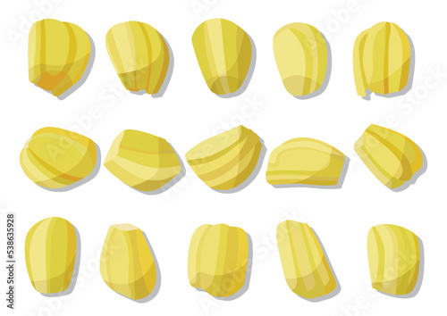 jackfruit ripe fruit isolated on white background illustration vector 
