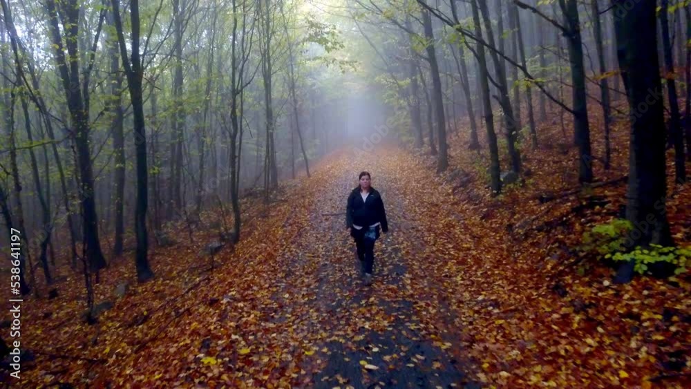 Lone woman walking through an autumn forest on a path covered with fallen leaves Lone woman walking through an autumn forest on a path covered with fallen leaves