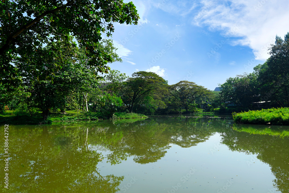 lake natural scenery with green trees and blue sky lake natural scenery with green trees and blue sky