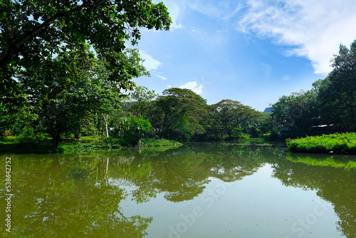lake natural scenery with green trees and blue sky