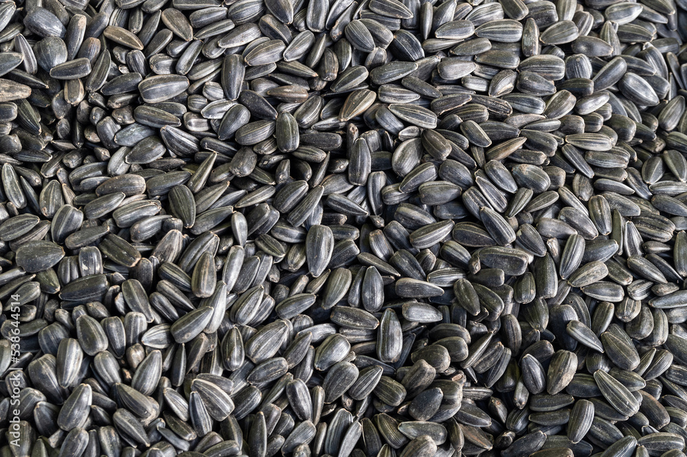 Texture of unpeeled sunflower seeds Texture of unpeeled sunflower seeds