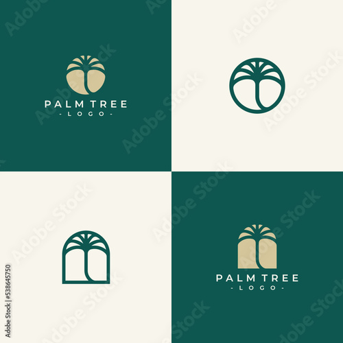 abstract palm logo vector set