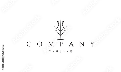 Vector logo on which an abstract image of a tree in a minimalist style.