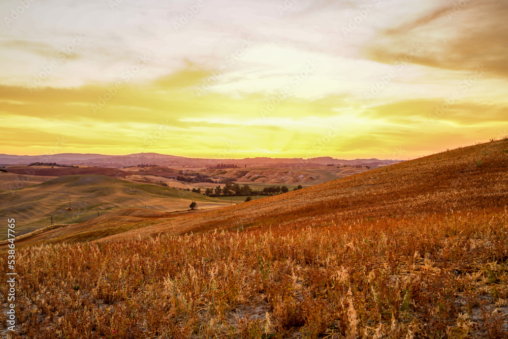 Italy 2022 - Toscania Italy 2022 - Toscania