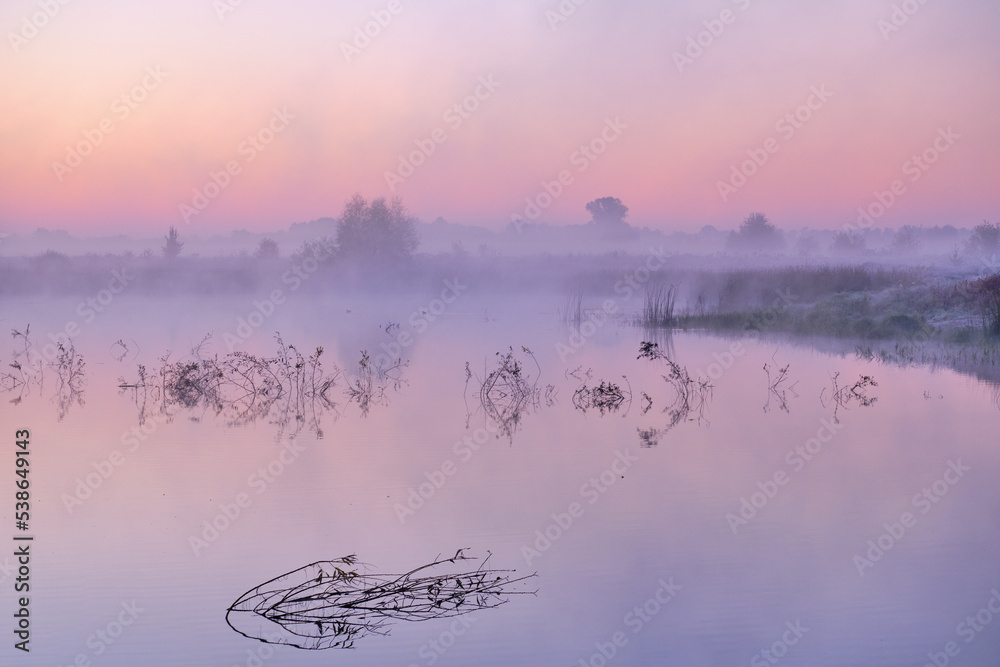 Naklejka premium fog on the river