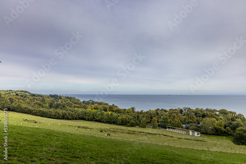 Autumn in Carnfunnock Country Park, Chaine Wood, Maze and Gardens, Drains Bay, Larne, County Antrim