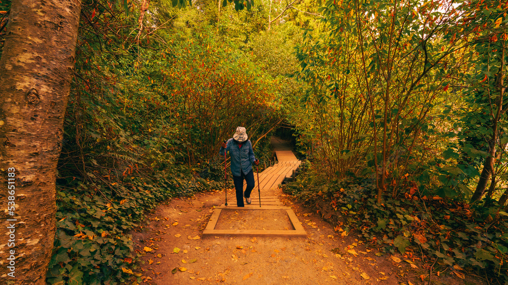 Senior enjoying a walk on nicely-shaded Shoreline Trail, Port Moody, BC, at the cusp of autumn.