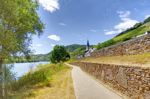 Fuß- und Radweg entlang der Mosel in Kesten