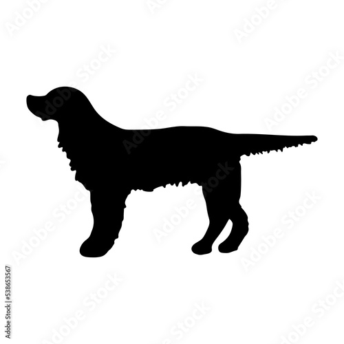English Setter. Black silhouette of a dog on a white background. Vector illustration
