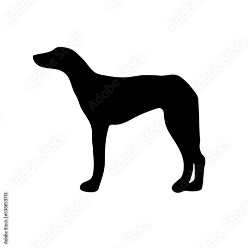Sighthound. Black silhouette of a dog on a white background. Vector illustration