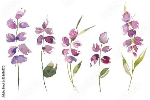 Watercolor set of different types of field grasses  flowers  leaves  spikelets  lush  spring. Botanical background  perfect for cards  banners  textiles  wallpaper  invitations