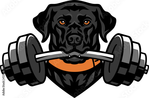 Strong Black Labrador Dog Holding a Dumbbell by Its Jaw