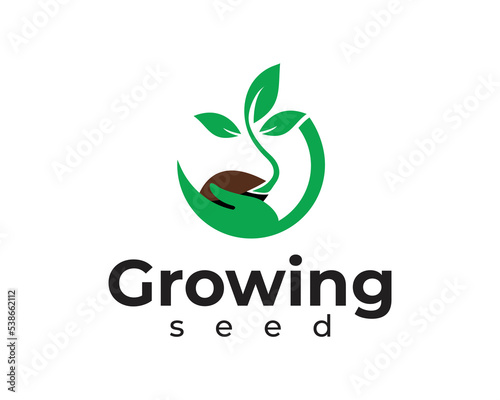 Growing seed logo, green seed logo type illustration, nature logo with a combination of leaves Premium Vector
