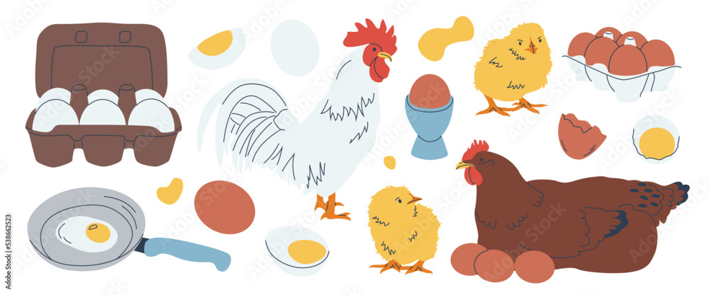Set of chicken eggs in carton boxes, boiled, fried. Domestic hen, rooster, chicks. Eggs with, without shell. Breakfast, organic farm eco food. Poultry production. Breed. Hand drawn Vector illustration