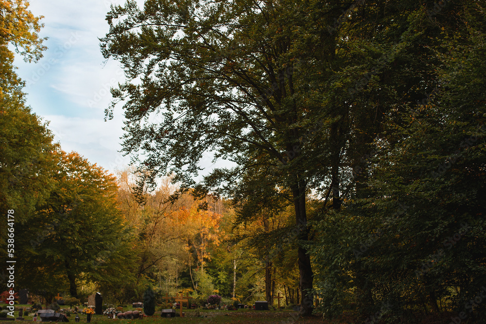 Waldfriedhof im Herbst.