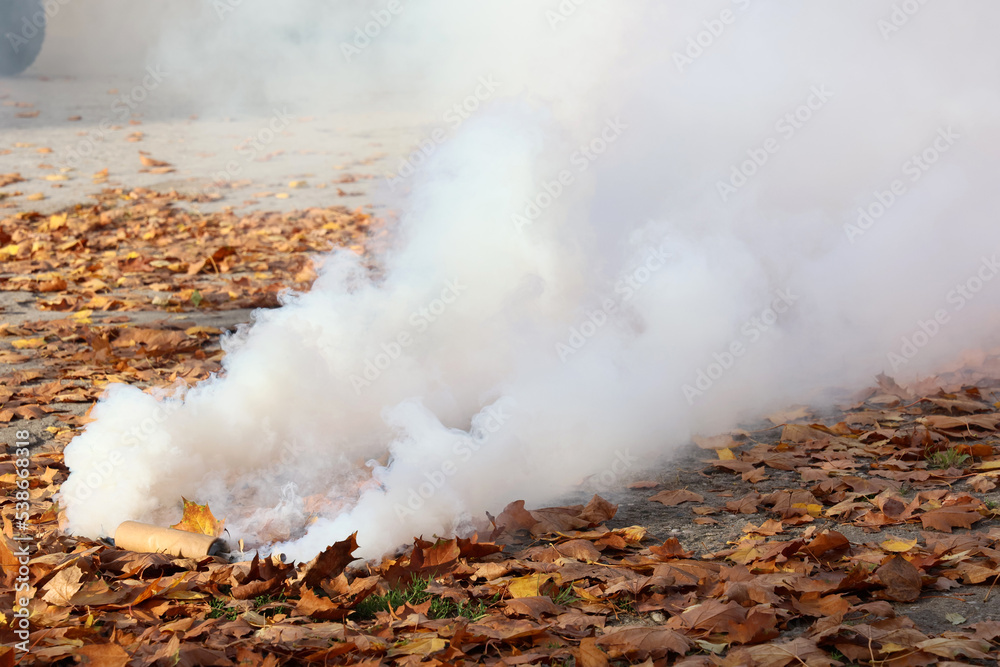 Mocny biały dym leci z wojskowej świecy dymnej.  - obrazy, fototapety, plakaty 