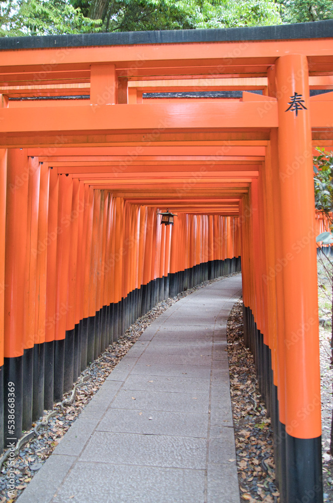Hundreds of Shrine gates and approach of Fushimi-inari shrine. Kyoto Japan
Hundreds of Shrine gates and approach of Fushimi-inari shrine. Kyoto Japan