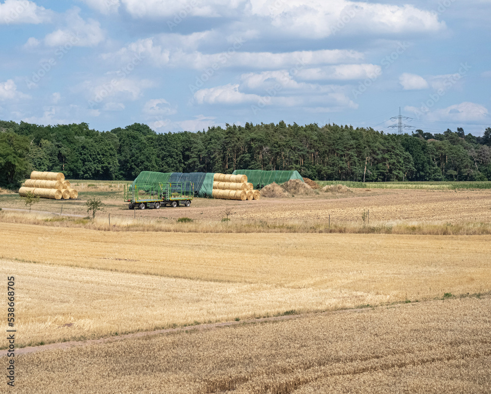 Fototapeta premium hay bales and traktor in the field