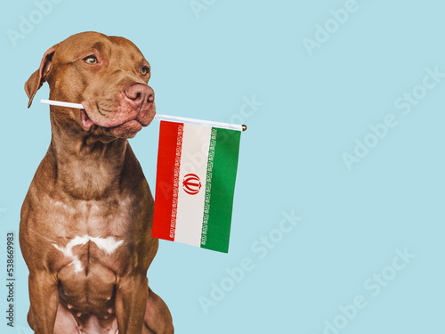 Charming, adorable puppy with the national flag of Iran. Closeup, indoors. Studio shot. Congratulations for family, loved ones, relatives, friends and colleagues. Pet care concept