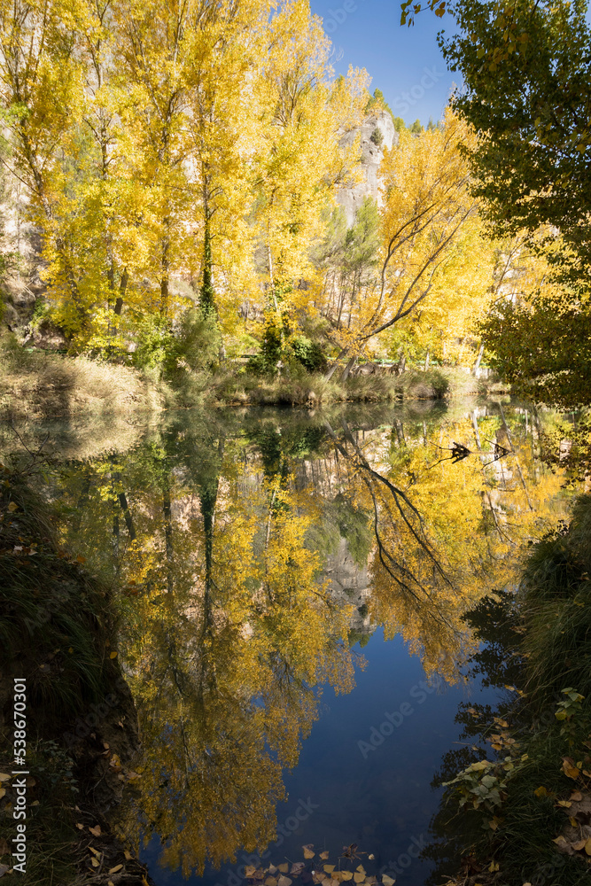 
The Jucar river in autumn in Cuenca, Castilla La Mancha in Spain. Autumn landscape with trees full of yellow leaves