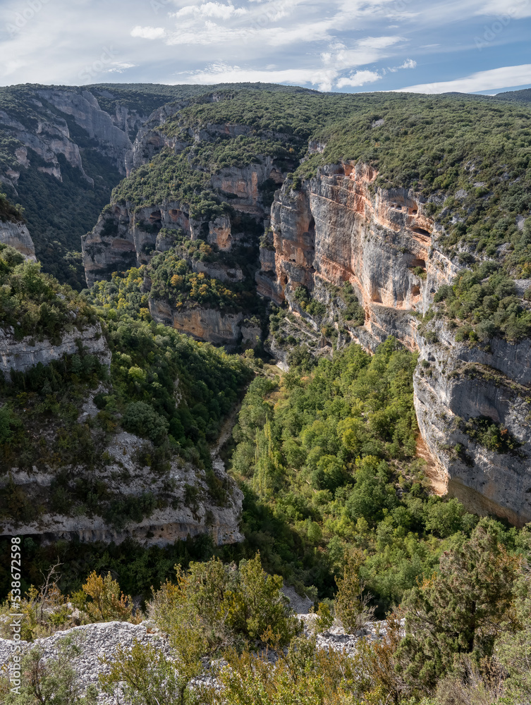 rocky outcrops and caves that are home to Spanish Griffon vultures, Eurasion griffons (Gyps fulvus) in summer sunshine, Pyrenees mountains, Spain