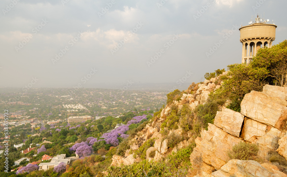 A view from Northcliff Hill in Johannesburg of Jacaranda trees in full bloom, displaying their brilliant purple colours