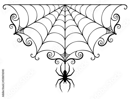 Ornate pretty spider web and spider

