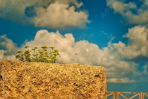 Caesarea is a magnificent site, a national park where amazing ancient harbor ruins, beautiful beaches, and impressive modern residences  photo