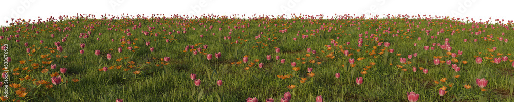 grass & flowers in isolated background 3d rendered