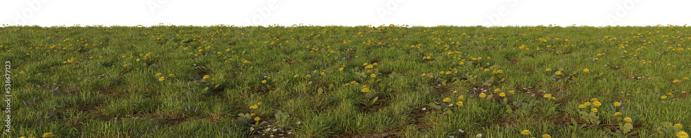 grass with flowers isolated white background 3d rendered