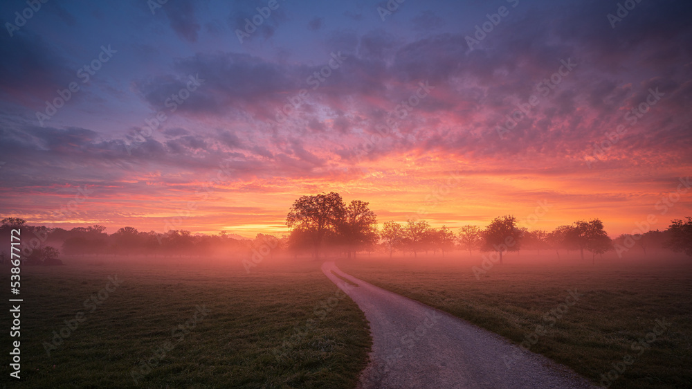 Colourful autumn sunrise over a meadow with trees surrounded by fog