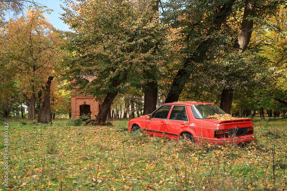Obraz na płótnie old red abandoned car somewhere in the woods w salonie