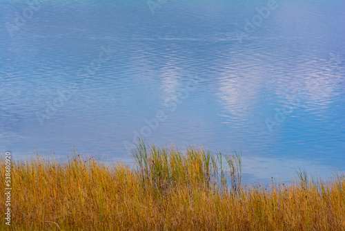 Grasses on the shore of a blue lake