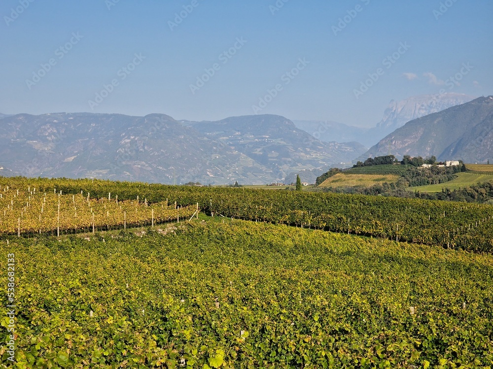 The beautiful landscape of Eppan near Bolzano in South Tyrol, Italy