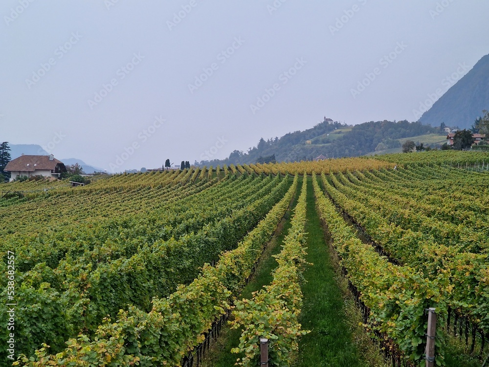 The beautiful landscape of Eppan near Bolzano in South Tyrol, Italy