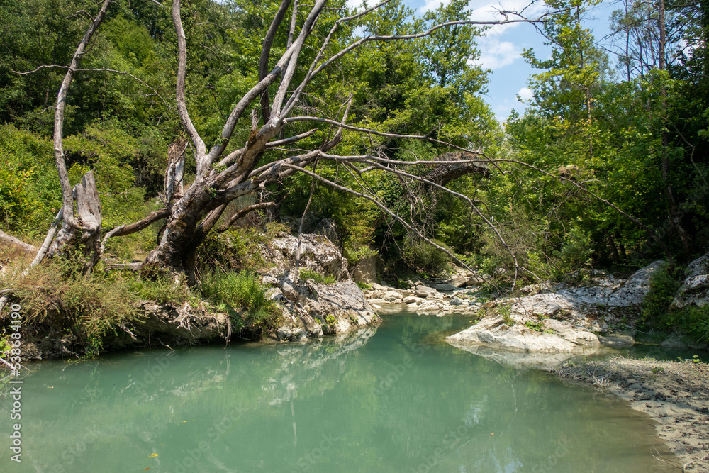 Vestiges d'un pont ottoman caché par la végétation, Albanie Vestiges d'un pont ottoman caché par la végétation, Albanie