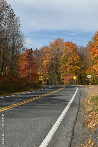 Forêt Drummond 16 Octobre 2022