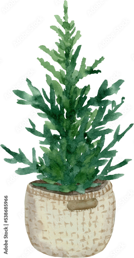 Hand drawn watercolor fir christmas tree in a basket Hand drawn watercolor fir christmas tree in a basket