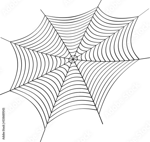 Cobweb vector illustration. Spider web
