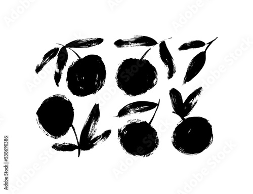 Brush drawn abstract fruit silhouettes collection. Sketchy style hand drawn vector illustration. Vector apples, apricots, peaches or citruses with leaves isolated on white background. Grunge style.