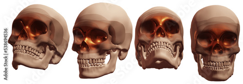 skull human halloween