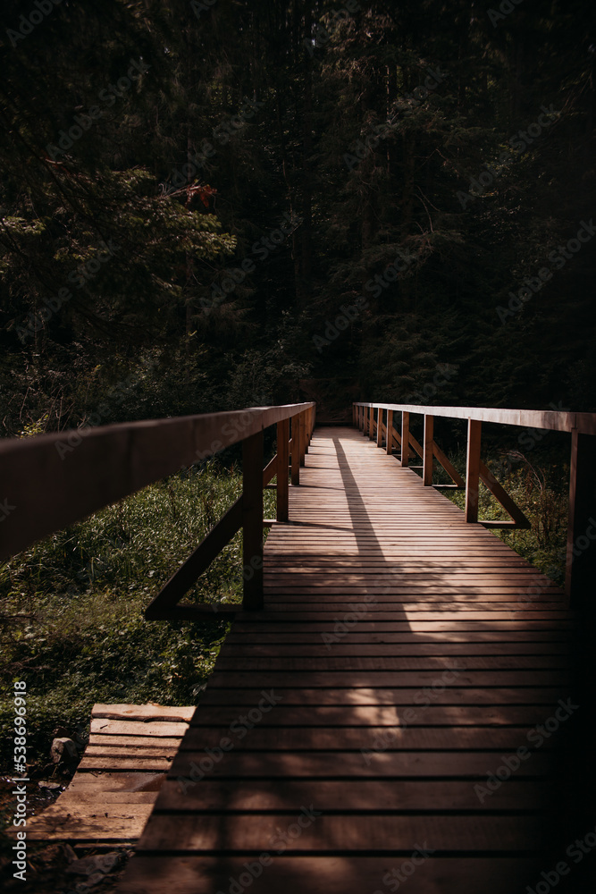 wooden bridge in the forest wooden bridge in the forest