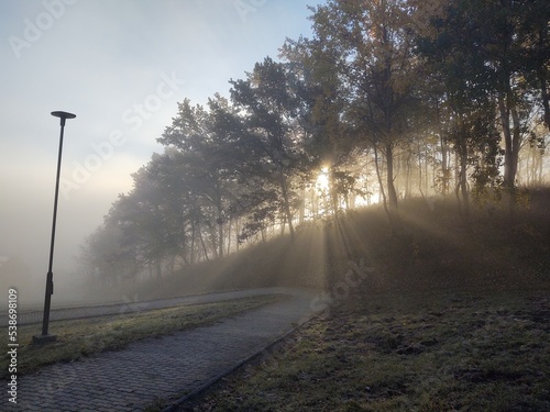 Mist in the forest. Sunrays behind the trees. Slovakia