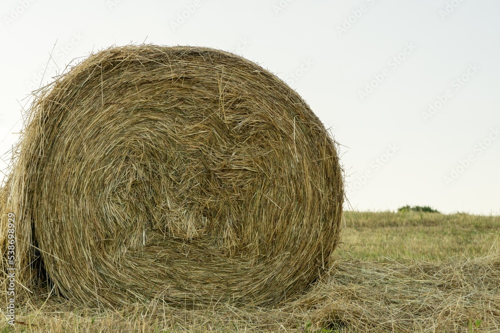 Hay bales and haystacks on the field during autumn. Slovakia Hay bales and haystacks on the field during autumn. Slovakia