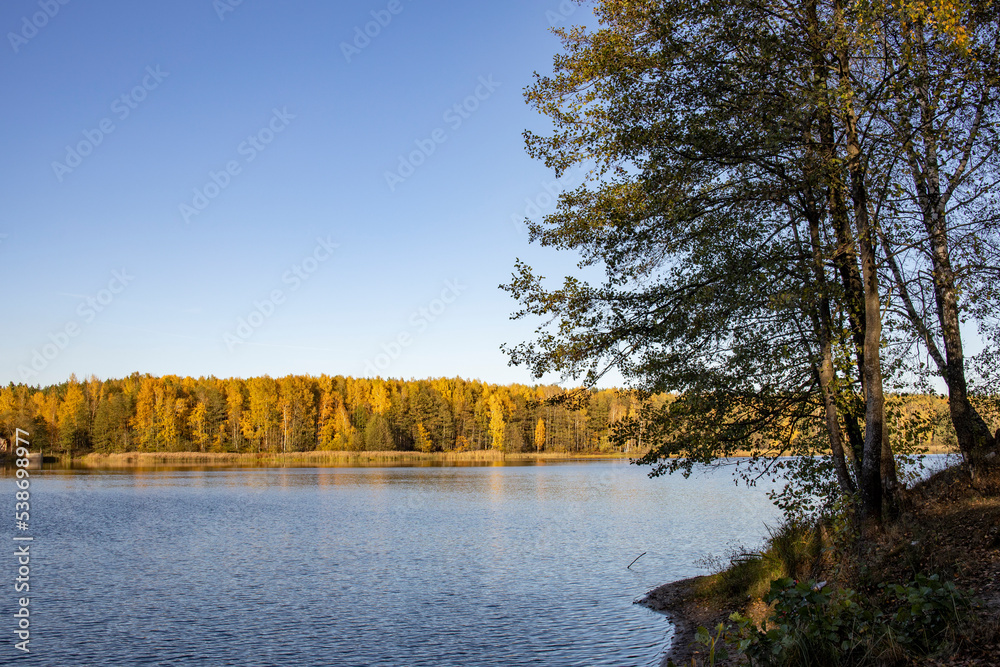 Autumn landscape by the river. The evening sun illuminates the yellow trees near the pond. The blue sky is reflected in the water.