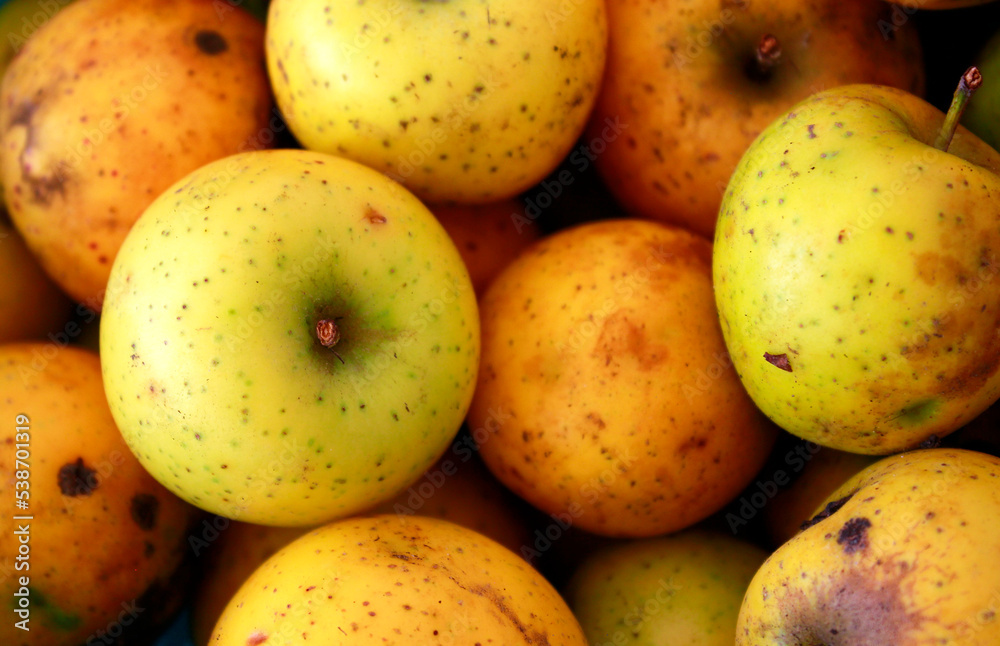 yellow apples on a market