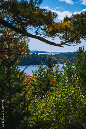 Obraz na plátně Autumn in Acadia National Park, Maine!