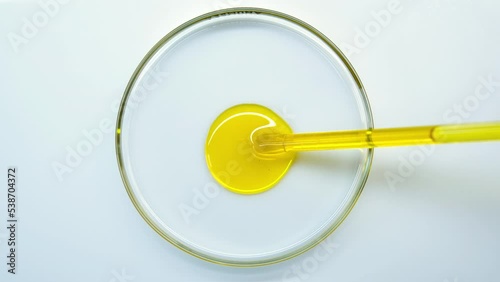 Cosmetic oils. Production of natural cosmetics. Serum and extract. Oil made from natural ingredients. Oil from a test tube is poured into petri dishes. View from above. Close-up. Beauty laboratory.