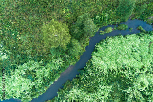 Aerial landscape view over the river, Russia