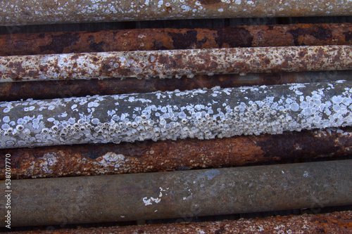 Eisenstangen Verfallstrukturen durch Salzwasser und Meer